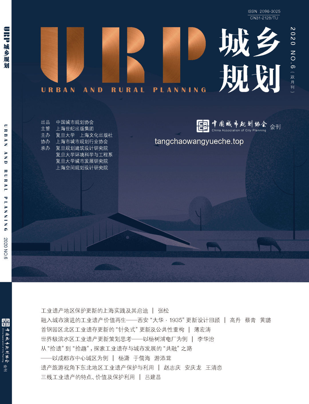 歌手多元化发展：以阿云嘎为例探索行业新路径