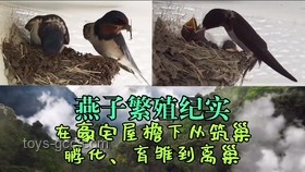钓鱼佬新风尚：出水瞬烹，礼遇自然之味
